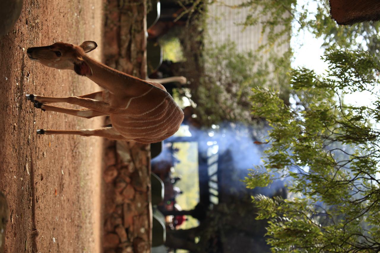 Mlilwane Game Sanctuary Villa Lobamba ภายนอก รูปภาพ